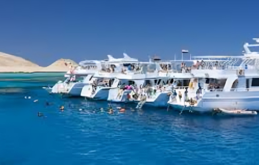 Ras Mohamed Snorkeling Sea Trip & White Island