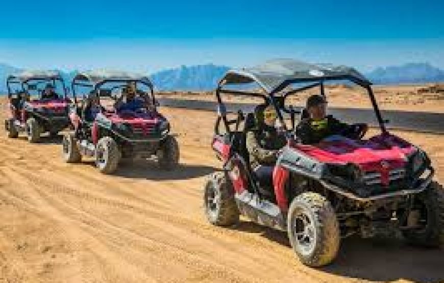 Double Buggy Safari  hurghada