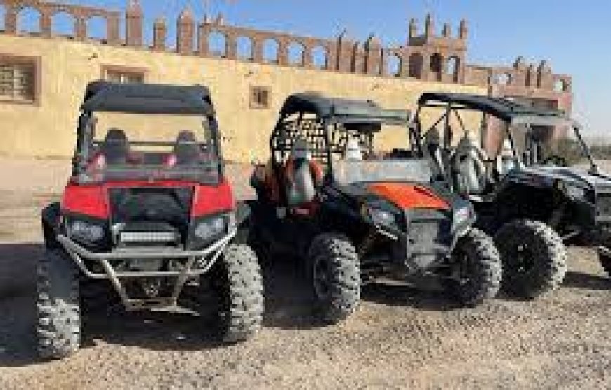 Double Buggy Safari  hurghada