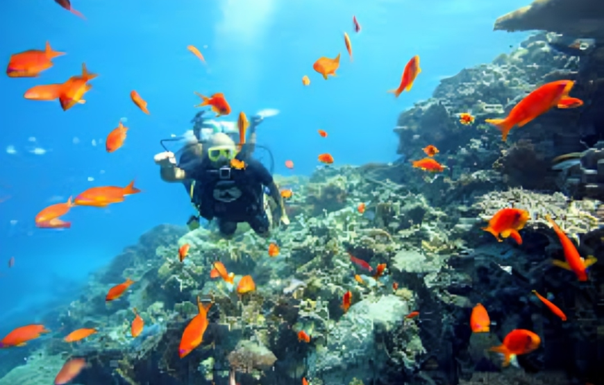 Introductory Scuba Diving Sharm El Sheikh