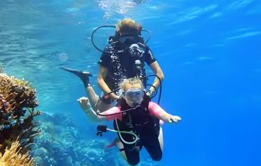 Introductory Scuba Diving Sharm El Sheikh