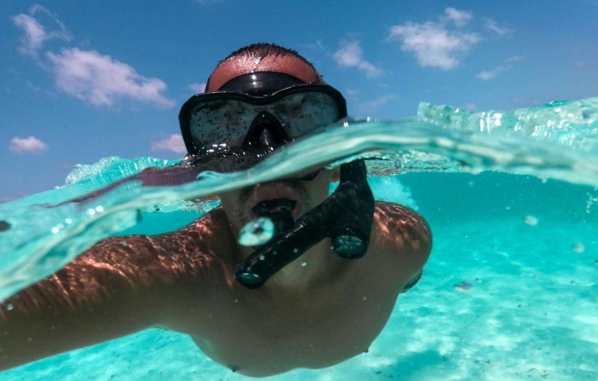 Schnorchelausflug nach Marsa Mubarak | Dugongs und Meeresschildkröten