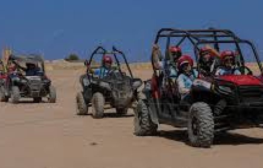 Quadruple Buggy Safari Hurghada