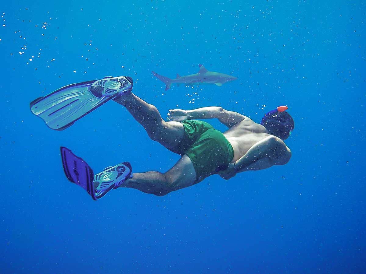 Schnorcheln während des Dolphin House Ausflugs in Hurghada